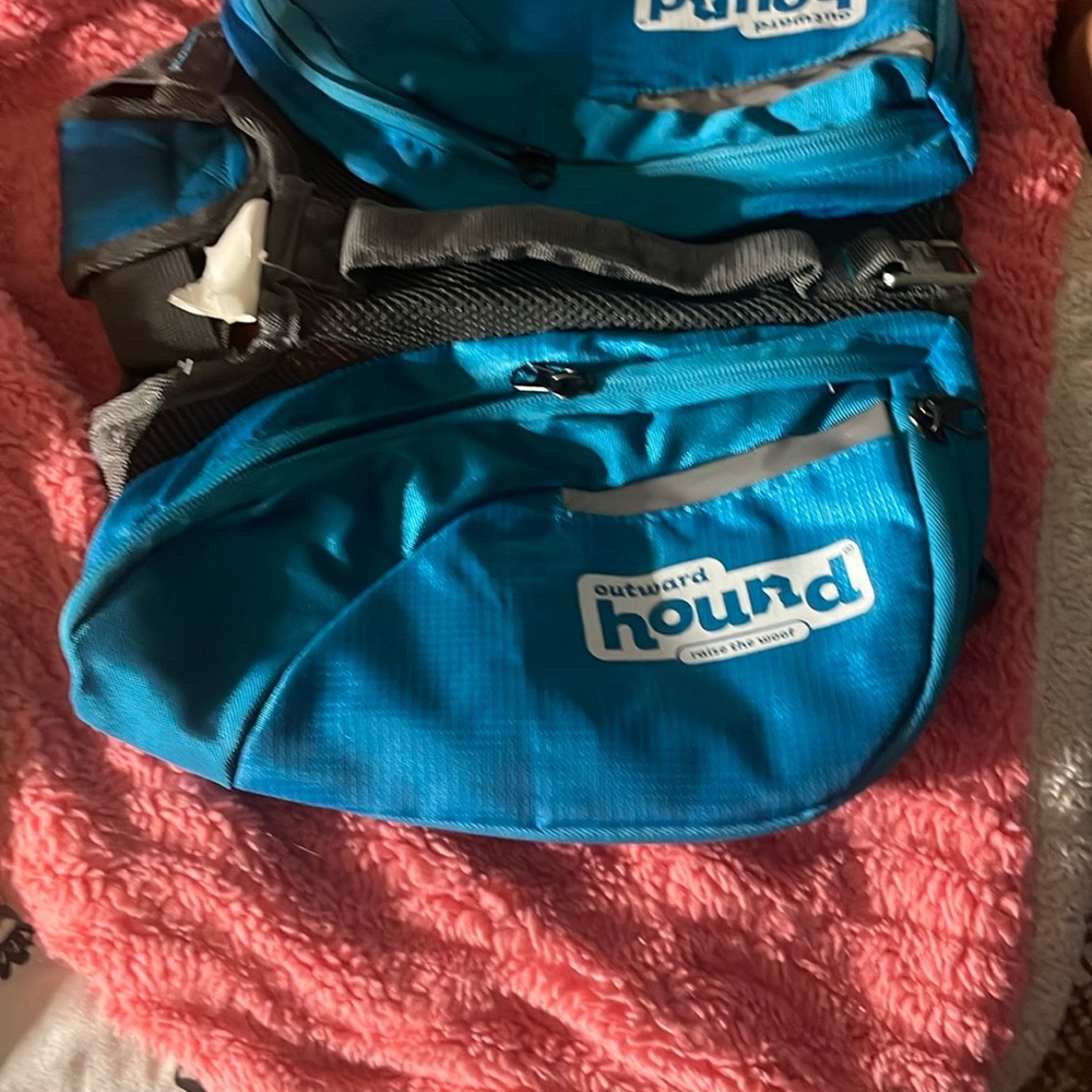 Outward Hound Teal Adventure Dog Backpack